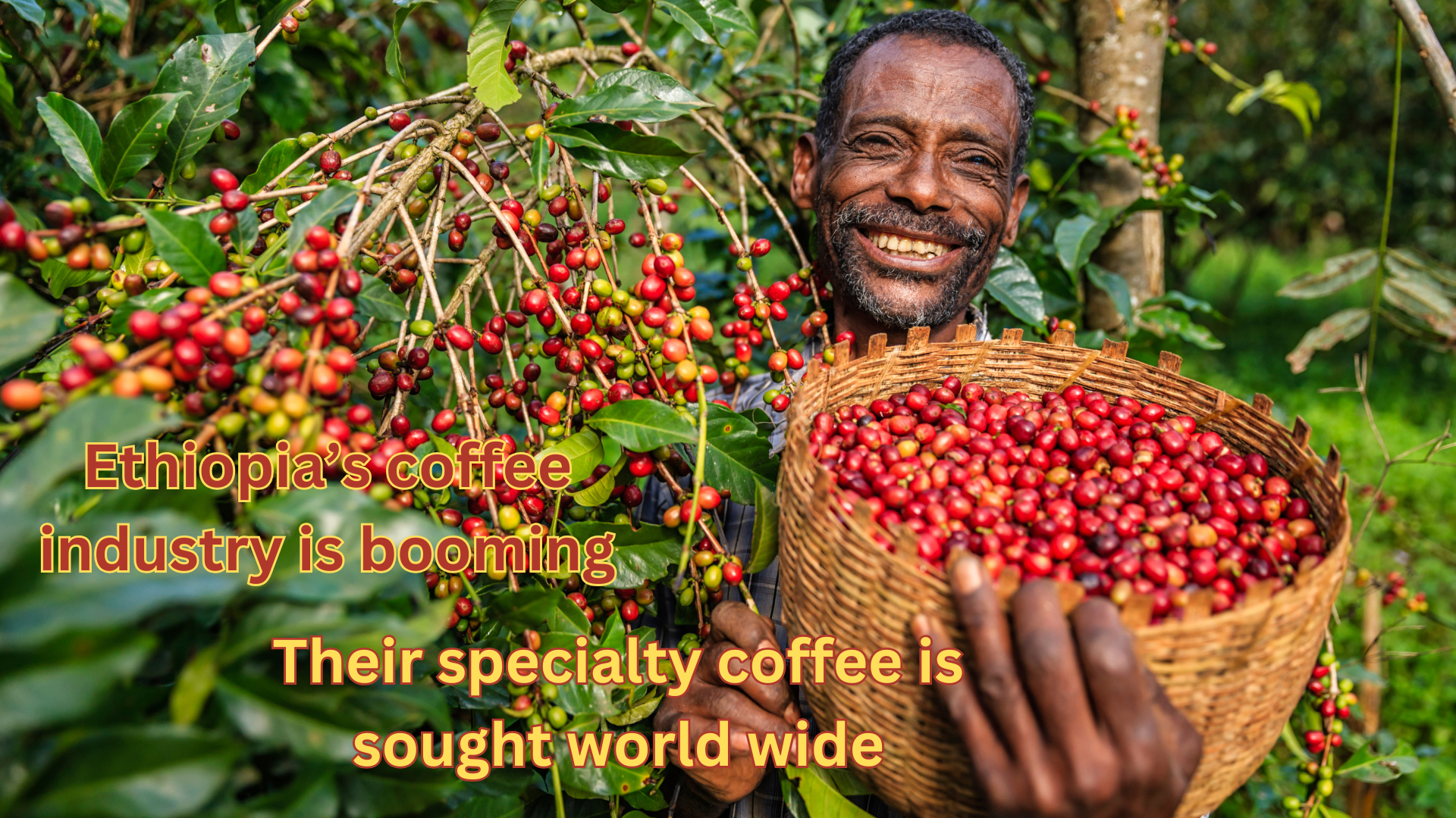 The Beginning of Modern Coffee | Pure Coffee Craft